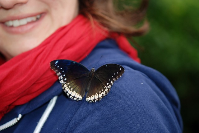 metamorphosis